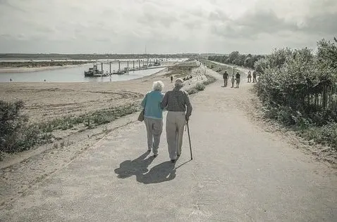 Preventing and reducing the risk of falls in dementia