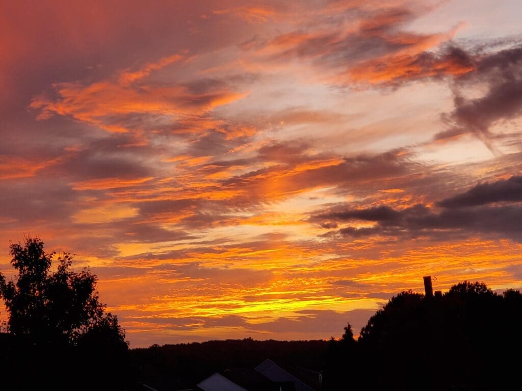 sunset